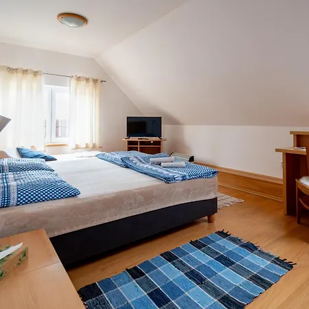 Guest house Penzion V Koute Zlechov