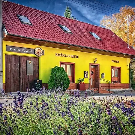 Guest house Penzion V Koute